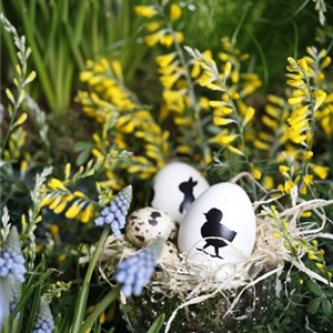 DAS GARTENPARADIES FüR OSTERHASEN