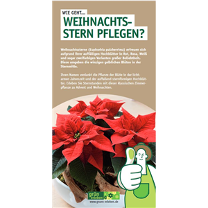 WIE GEHT... WEIHNACHTSSTERN PFLEGEN?