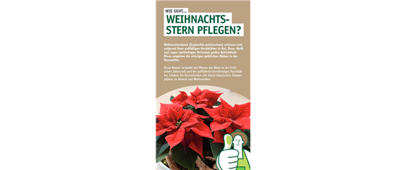 DEIN WEIHNACHTSDUFT!